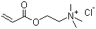 Acryloyloxyethyltrimethyl ammonium chloride DAC